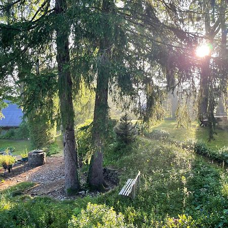 Liebevoll Eingerichtetes Ferienhaus Mit Grossem Garten Clausthal-Zellerfeld Bagian luar foto