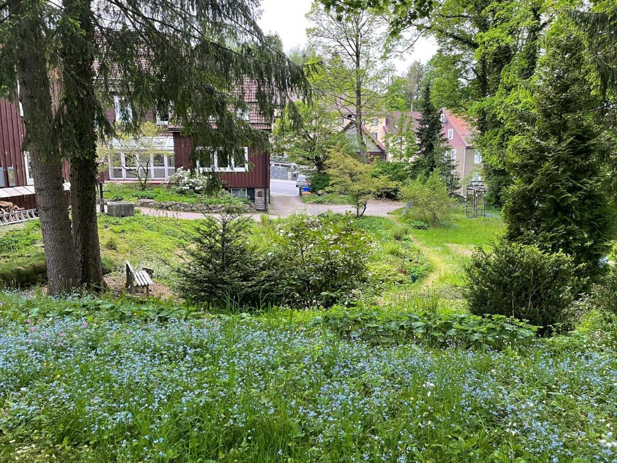 Liebevoll Eingerichtetes Ferienhaus Mit Grossem Garten Clausthal-Zellerfeld Bagian luar foto