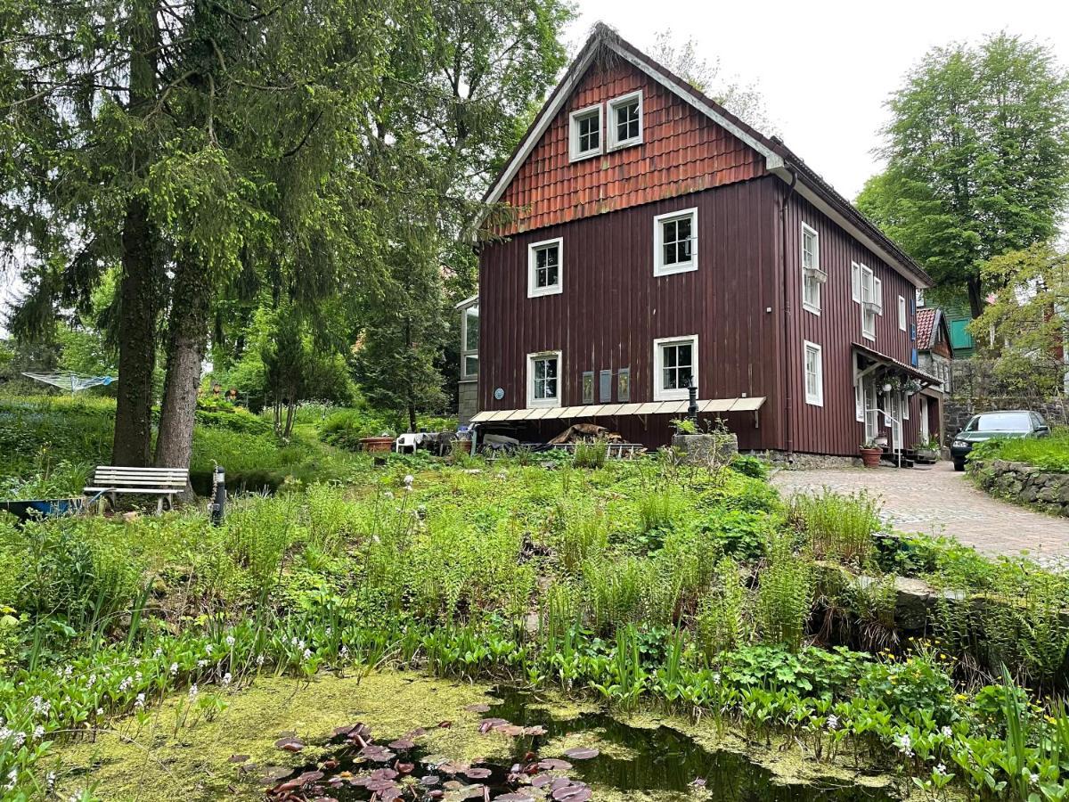 Liebevoll Eingerichtetes Ferienhaus Mit Grossem Garten Clausthal-Zellerfeld Bagian luar foto