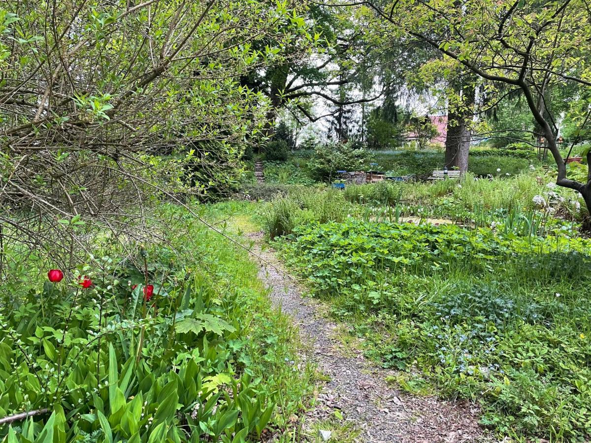 Liebevoll Eingerichtetes Ferienhaus Mit Grossem Garten Clausthal-Zellerfeld Bagian luar foto