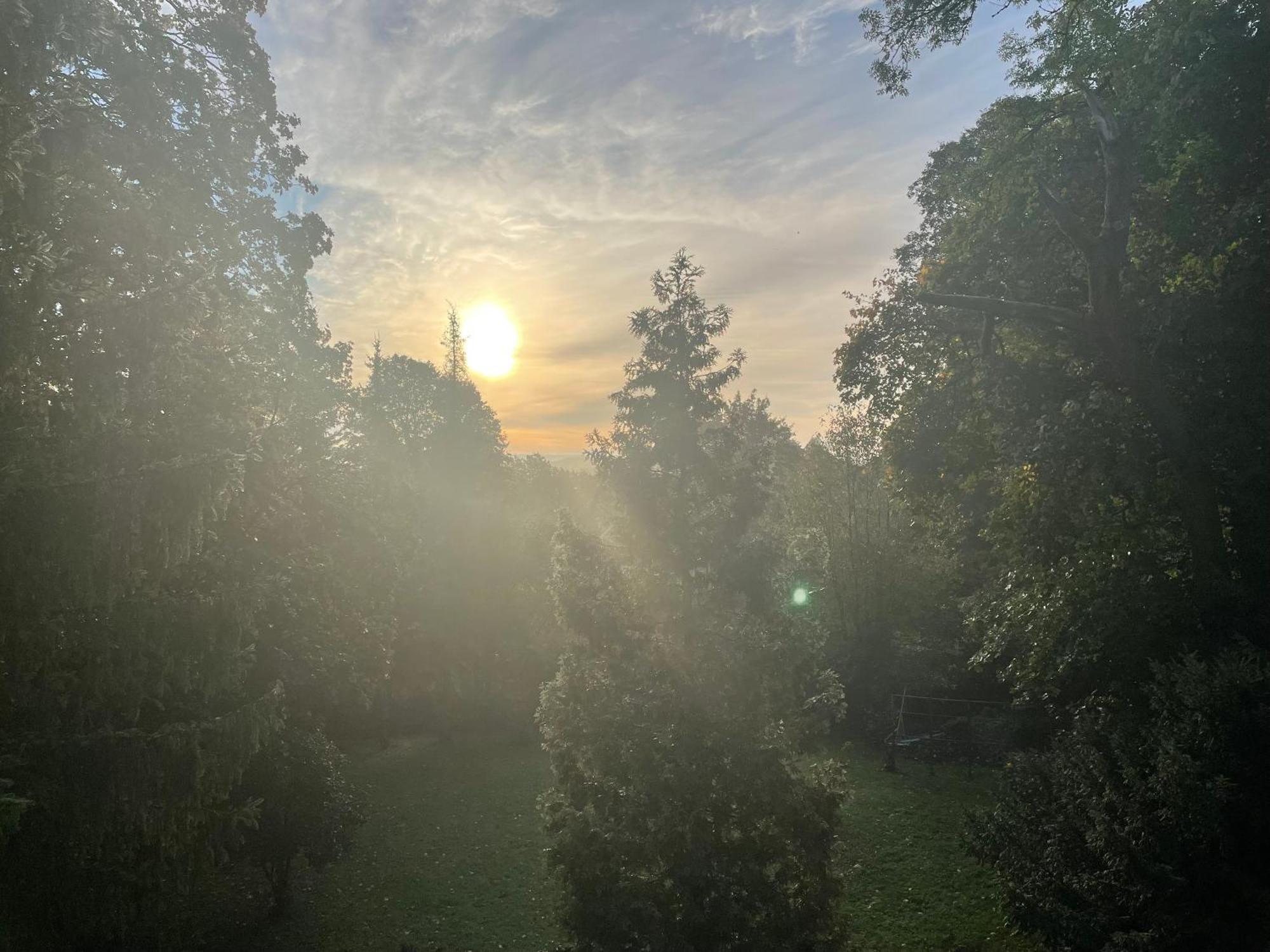 Liebevoll Eingerichtetes Ferienhaus Mit Grossem Garten Clausthal-Zellerfeld Bagian luar foto